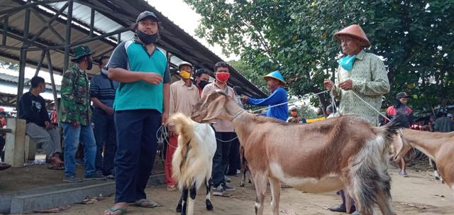 Imbas Meroketnya Penderita Covid-19, Dua Minggu Jelang Idul Adha, Penjualan Hewan Qurban Sepi